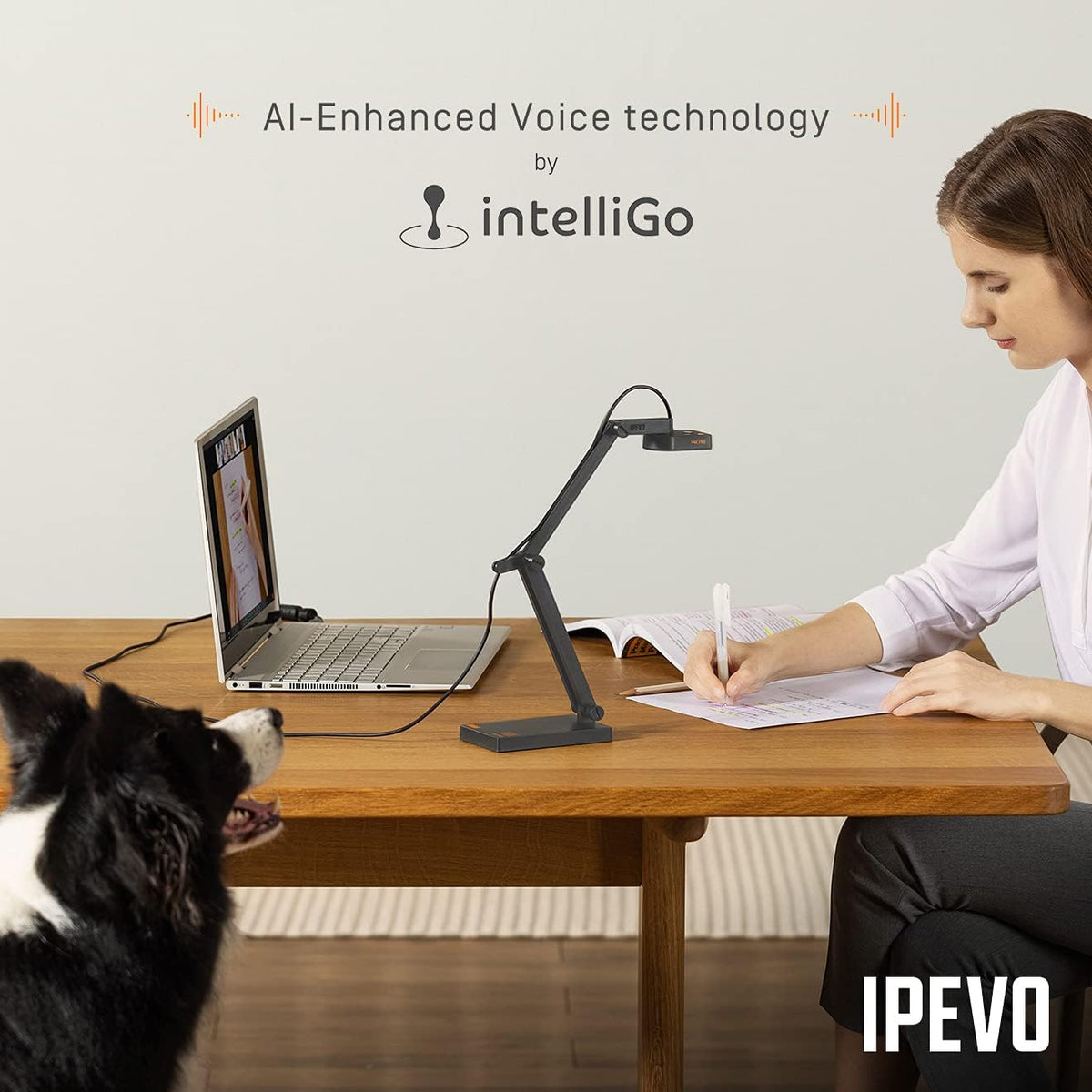 Ultra HD USB Document Camera with Noise Cancellation P97456