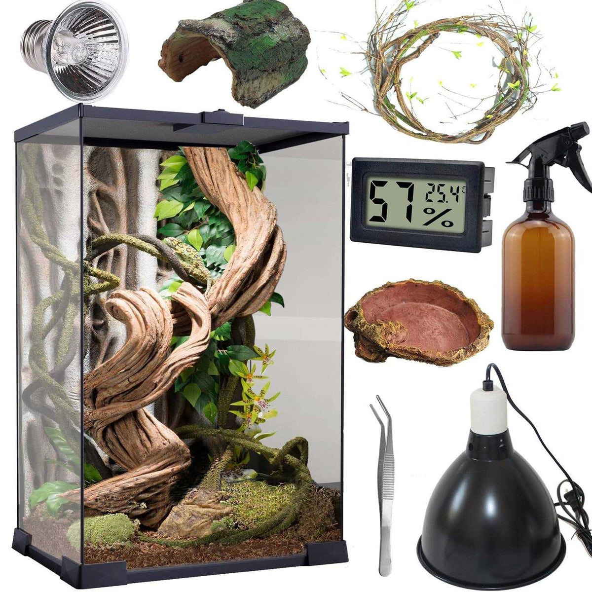 Reptile Terrarium 8 * 8 * 12 Vertical Habitat Tank Starter Kit R45091