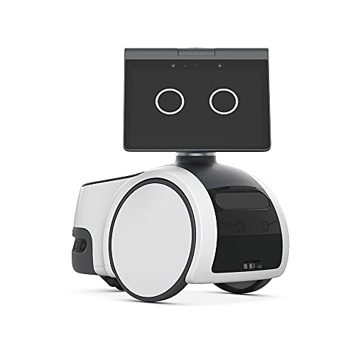 Household robot with Alexa Q543342