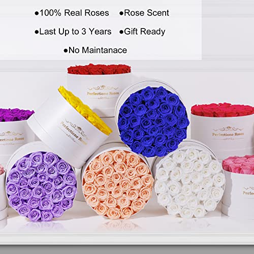 Real Roses in a Box, Preserved Rose (Dusty Rose) I659499