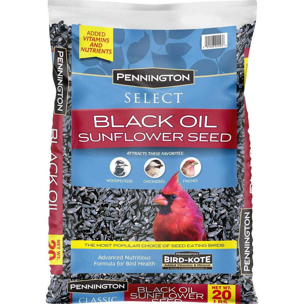 Black Oil Sunflower Seed Wild Bird Feed O277984
