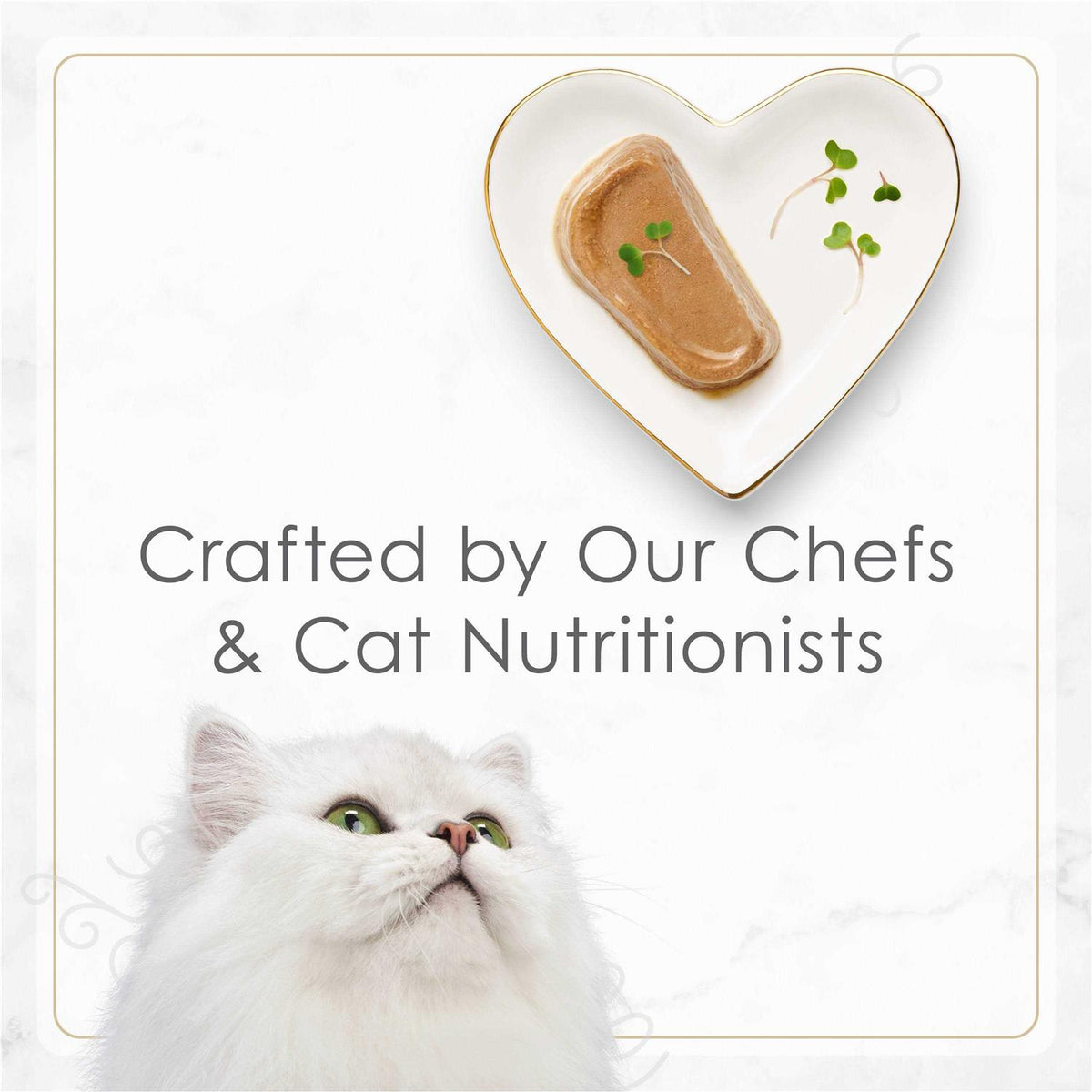 Pate Tender Turkey Entree Wet Cat Food K649