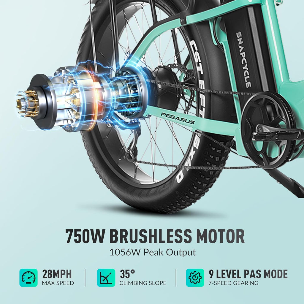 1000W Peak Motor 26" x 4.0 Fat Tire Step-Thru Ebike with 48V 15AH Removable Battery C4127