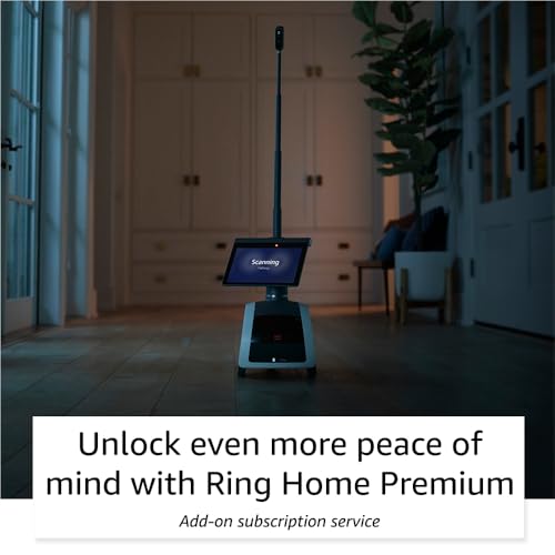 Household robot with Alexa Q543342