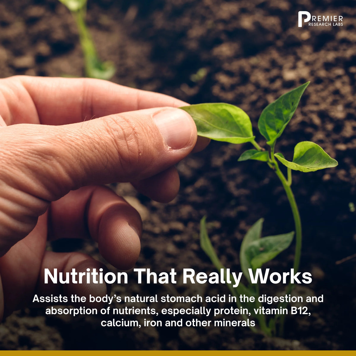 60 Plant-Source Capsules P7489