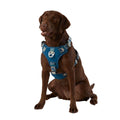 Navy Quick-Dry Dog Harness Z981087