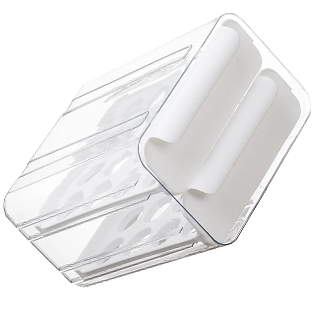 Egg Carton Organizer Storage Box H6954