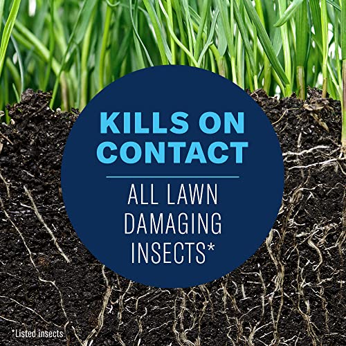 20 LB Granules Insect Killer I14253