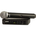 Wireless Handheld Microphone System with PG58 Capsule E16812