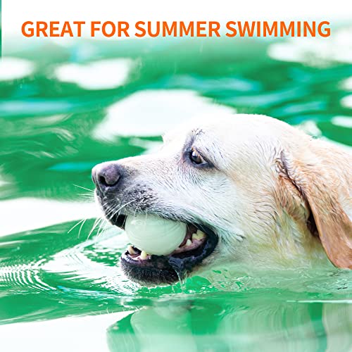 Interactive Squeaky Dog Ball, Light Up, Floating, Durable TPR, 2.5 Inches, 1 Pack F9922