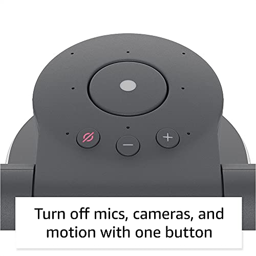 Household robot with Alexa Q543342
