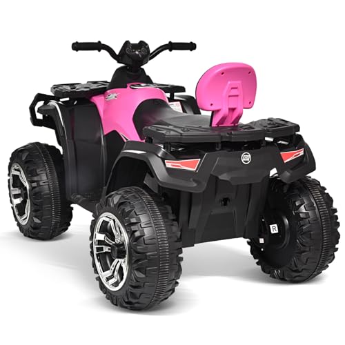 24V 2 Seater Kids Ride on ATV Car 4WD Quad Electric Vehicle R537400