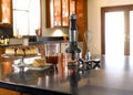 Silver 3-Speed Immersion Hand Blender T2843