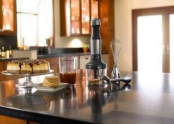 Silver 3-Speed Immersion Hand Blender T2843